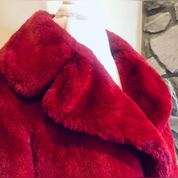 NEW Rachel Zoe FAUX Fur Coat Jacket Silky Soft & Fully Lined XS NWOT - Picture 2 of 9